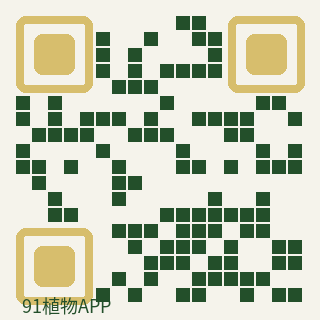 91